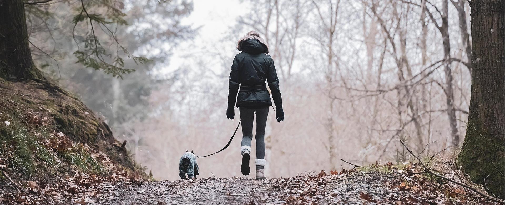 Fjällräven Shop -Fjällräven Shop nature 6967075 1920